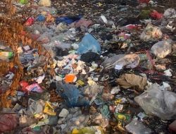 Kemarau Ekstrem, Disdamkarmat Kota Bekasi Minta Warga Stop Bakar Sampah Sembarangan