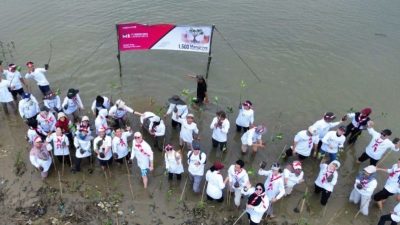 Bekasi - Aksi peduli lingkungan dengan menanam 1.500 bibit pohon bakau di garis pantai Desa Hurip Jaya, Kecamatan Babelan, Kabupaten Bekasi, Rabu (19/8/2026). Foto: Ist