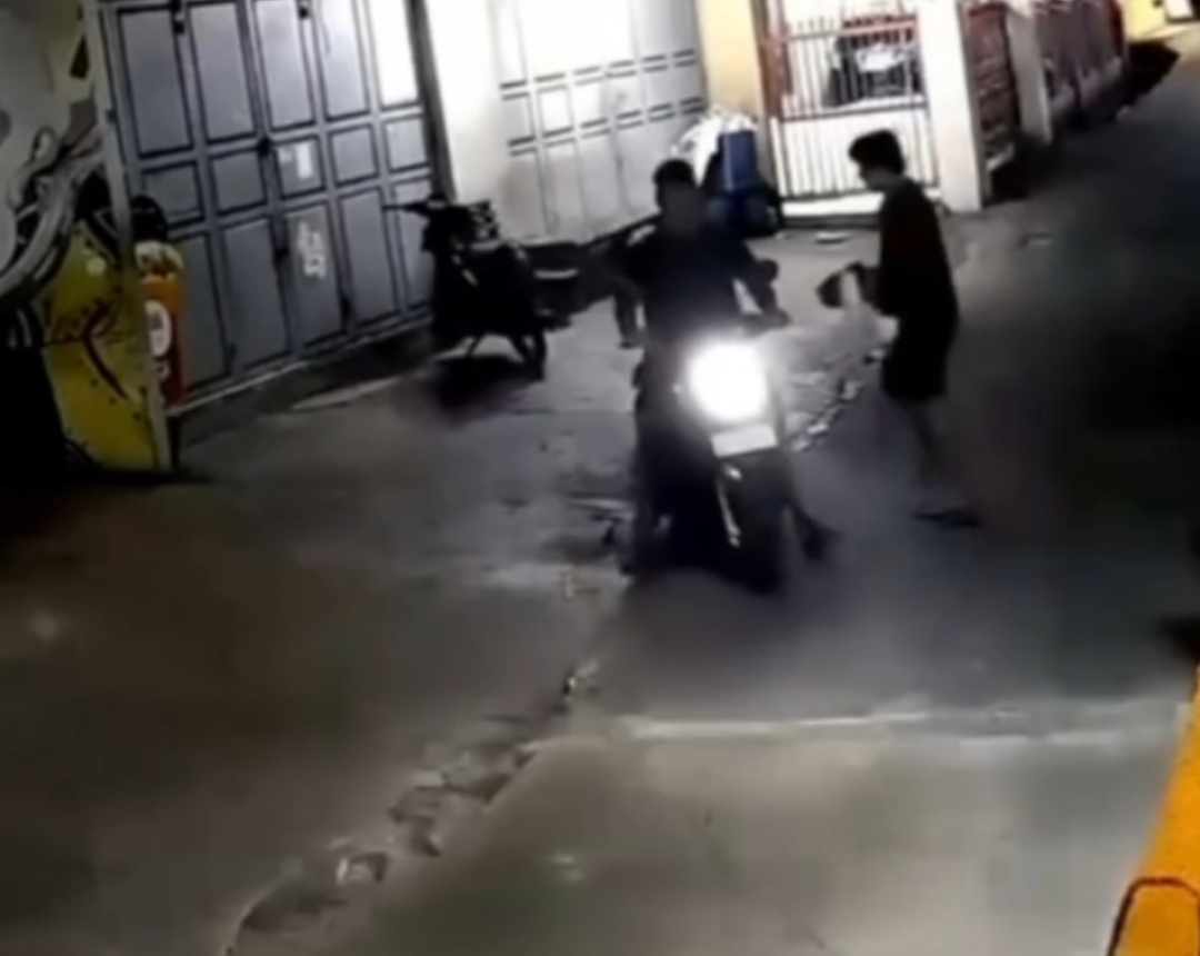 Bekasi - Seekor kucing ras jenis Persia digondol komplotan pencuri di Gang Delima, Jalan Prof. Moh. Yamin, Kelurahan Duren Jaya, pada Selasa (4/8/2026) dini hari. Foto: Ist/Gobekasi.id.