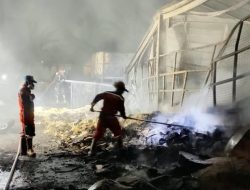 Gudang Kardus Pabrik Mie Sedaap di Medan Satria Bekasi Terbakar