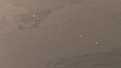 Erupsi Anak Krakatau Sampai Bekasi, Abu Vulkanik Selimuti Tambak Bandeng dan Udang di Muaragembong