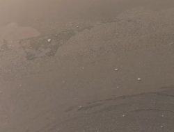 Erupsi Anak Krakatau Sampai Bekasi, Abu Vulkanik Selimuti Tambak Bandeng dan Udang di Muaragembong
