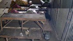 Marak Pencurian Cabai hingga Jengkol, Pedagang Pasar Babelan Bekasi Resah