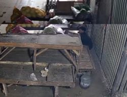 Marak Pencurian Cabai hingga Jengkol, Pedagang Pasar Babelan Bekasi Resah