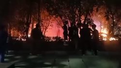 Hutan Kota Bekasi Terbakar Malam Ini, Api Dekati Area Sepatu Roda