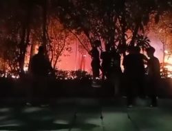 Hutan Kota Bekasi Terbakar Malam Ini, Api Dekati Area Sepatu Roda