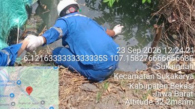 Bekasi - Tim penegakan hukum lingkungan pada KLH mengambil sampel air yang diduga tercemar limbah Bahan Berbahaya dan Beracun (B3) di aliran Sungai Bendung Srengseng Hilir, Kabupaten Bekasi, Rabu (23/9/2026). Foto: Ist/Gobekasi.id.