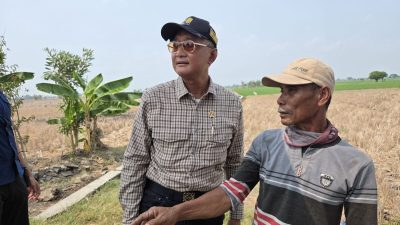 Bekasi - Menteri Pekerjaan Umum (PU) Dody Hanggodo murka mendapati areal persawahan lebih dari 1.000 hektare di wilayah Desa Karangharja, Kecamatan Pebayuran, Kabupaten Bekasi, pada Sabtu (26/09/2026). Foto: Ist