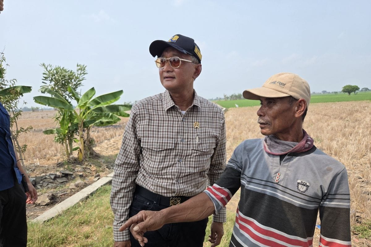Bekasi - Menteri Pekerjaan Umum (PU) Dody Hanggodo murka mendapati areal persawahan lebih dari 1.000 hektare di wilayah Desa Karangharja, Kecamatan Pebayuran, Kabupaten Bekasi, pada Sabtu (26/09/2026). Foto: Ist