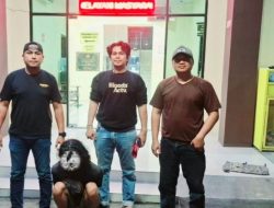 Sempat Buron, Pelaku Penganiayaan Konter HP di Babelan Ditangkap