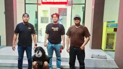Bekasi - Polsek Babelan berhasil menangkap SH (35), pelaku penganiayaan di konter HP Desa Muara Bakti Babelan yang sempat buron 2 bulan ke Pandeglang, Minggu (18/10/2026). Foto: Ist/Gobekasi.id.