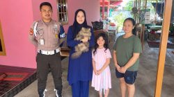 Bekasi - Kucing Cimi berhasil ditemukan warga usai diculik pedagang Mie Ayam keliling. Foto: Ist/Gobekasi.id