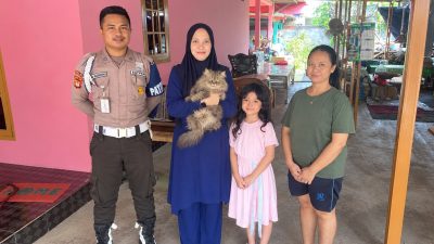 Bekasi - Kucing Cimi berhasil ditemukan warga usai diculik pedagang Mie Ayam keliling. Foto: Ist/Gobekasi.id