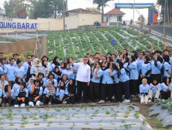 Kemnaker Targetkan 70 Persen Lulusan Vokasi Bekerja