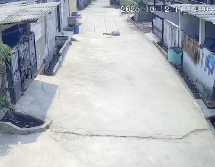 Bekasi - Bocah di Kampung Bali, Desa Setiamulya, Kecamatan Tarumajaya, Kabupaten Bekasi, diserang monyet liar hingga wajahnya alami luka parah, Senin (12/10/2026). Foto: Tangkapan layar CCTV