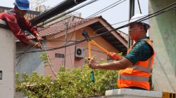 Tri Adhianto Kembali Tertibkan Kabel Udara Semraut, Kali Ini di Jalan Pangeran Jayakarta